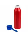 Термокружка Бутылка для воды VIKING RED 650мл. Красная с синей крышкой  6144-01